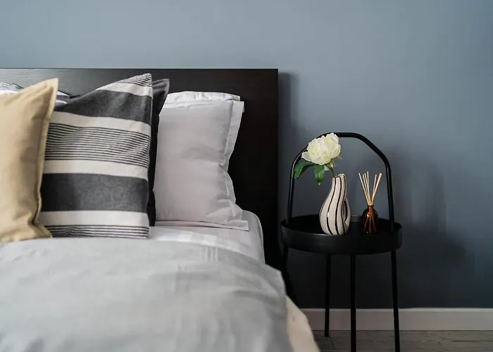 Chic Black & White 2br Retreat On Dambovitei Daire *